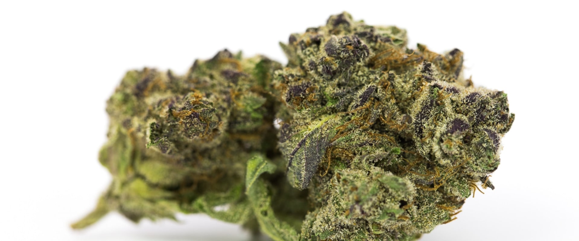 Is sativa or indica more giggly?
