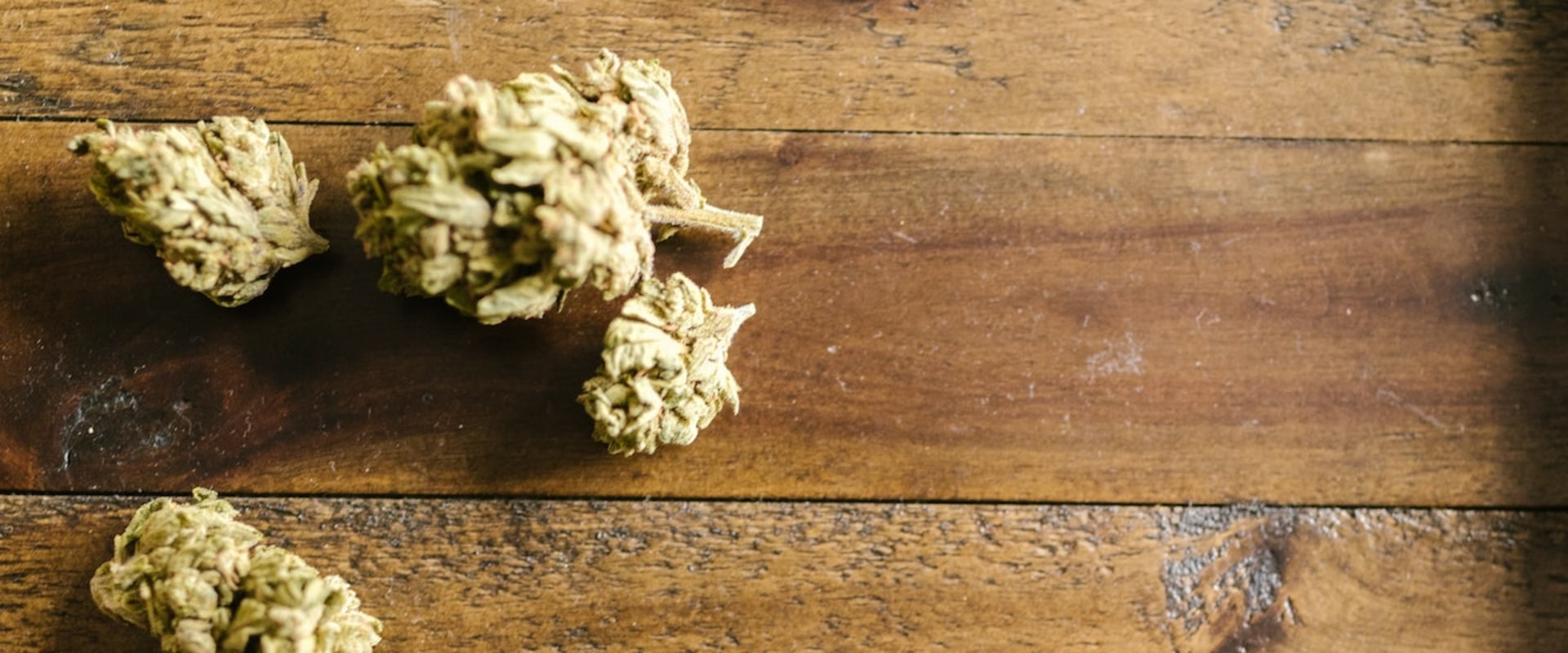 Why Indica Strains Might Be The Perfect Strain For You In Long Beach