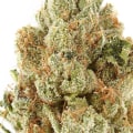 Why do people prefer indica or sativa?