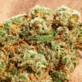 Is indica better for anxiety and depression?