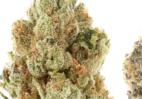 Why do people prefer indica or sativa?