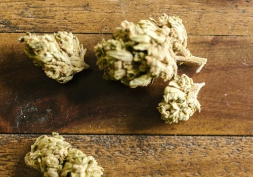 Why Indica Strains Might Be The Perfect Strain For You In Long Beach
